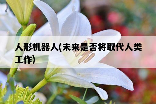 人形機器人，未來是否將取代人類工作-圖1