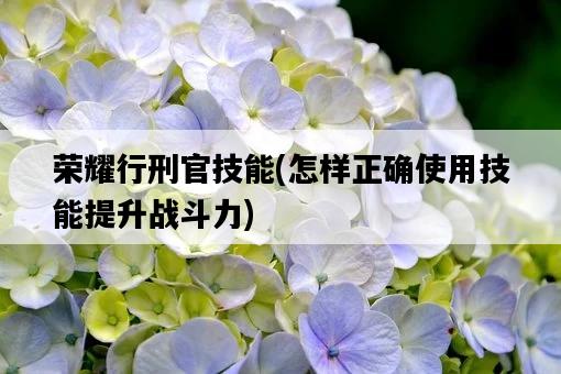 榮耀行刑官技能，怎樣正確使用技能提升戰斗力-圖1