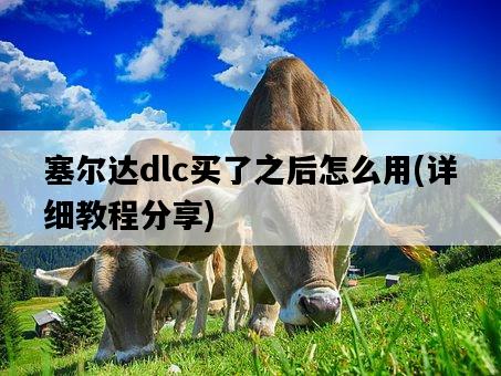 塞爾達dlc買了之后怎么用，詳細教程分享-圖1