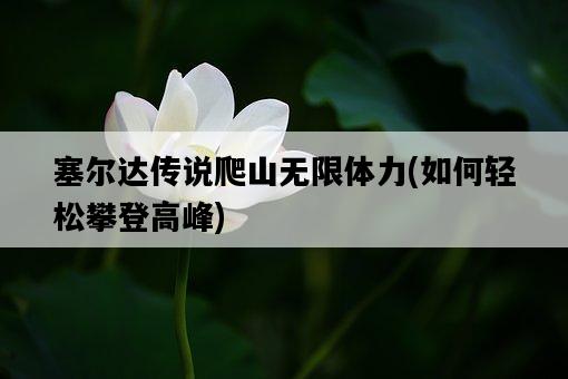 塞爾達傳說爬山無限體力，如何輕松攀登高峰-圖1