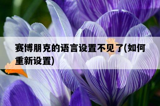 賽博朋克的語言設置不見了，如何重新設置-圖1