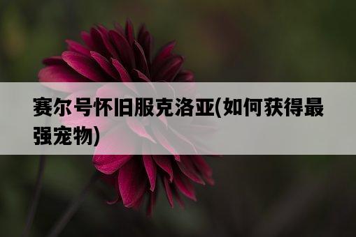 賽爾號懷舊服克洛亞，如何獲得最強寵物-圖1