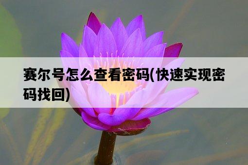 賽爾號怎么查看密碼，快速實現密碼找回-圖1