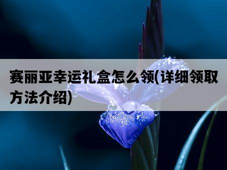 賽麗亞幸運禮盒怎么領，詳細領取方法介紹-圖1