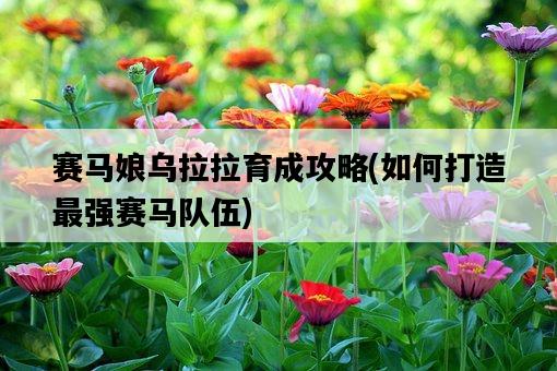 賽馬娘烏拉拉育成攻略，如何打造最強賽馬隊伍-圖1