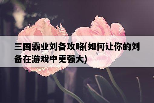 三國霸業劉備攻略，如何讓你的劉備在游戲中更強大-圖1