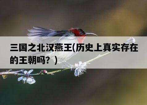 三國之北漢燕王，歷史上真實存在的王朝嗎？-圖1