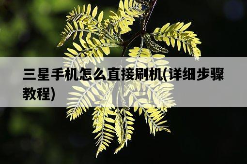 三星手機怎么直接刷機，詳細步驟教程-圖1