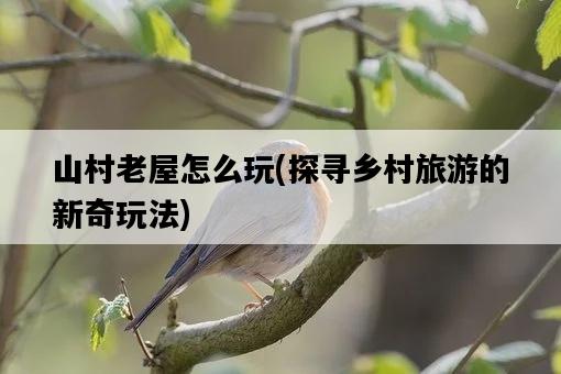 山村老屋怎么玩，探尋鄉村旅游的新奇玩法-圖1