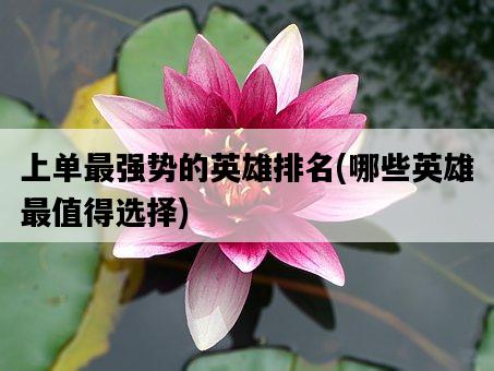 上單最強勢的英雄排名，哪些英雄最值得選擇-圖1