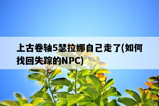 上古卷軸5瑟拉娜自己走了，如何找回失蹤的NPC-圖1