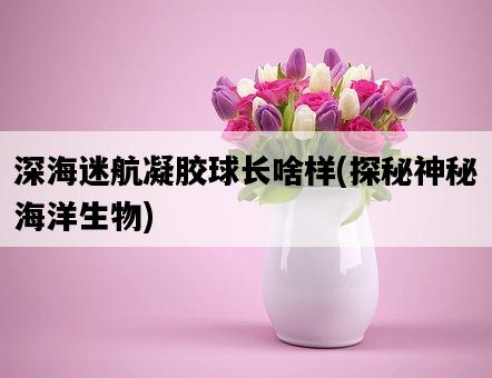 深海迷航凝膠球長啥樣，探秘神秘海洋生物-圖1