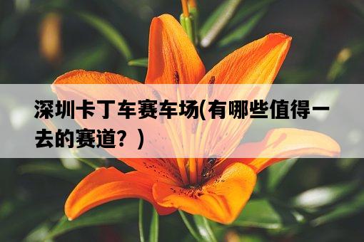 深圳卡丁車賽車場，有哪些值得一去的賽道？-圖1