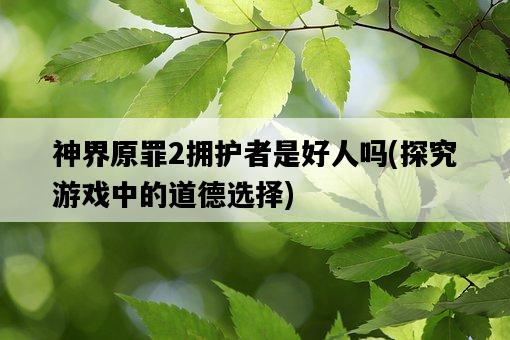 神界原罪2擁護者是好人嗎，探究游戲中的道德選擇-圖1