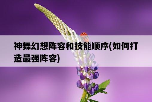 神舞幻想陣容和技能順序，如何打造最強陣容-圖1