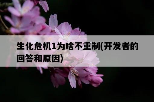 生化危機1為啥不重制，開發者的回答和原因-圖1