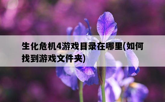 生化危機4游戲目錄在哪里，如何找到游戲文件夾-圖1