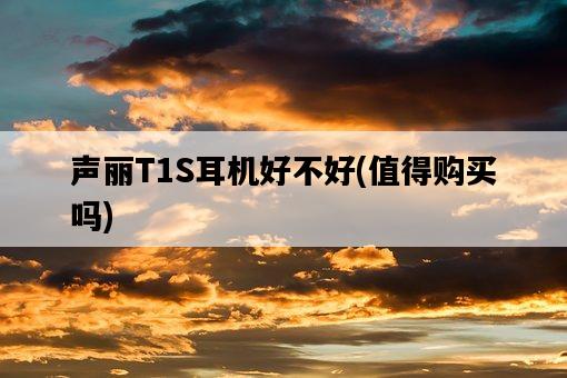 聲麗T1S耳機好不好，值得購買嗎-圖1