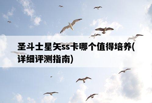圣斗士星矢ss卡哪個值得培養，詳細評測指南-圖1