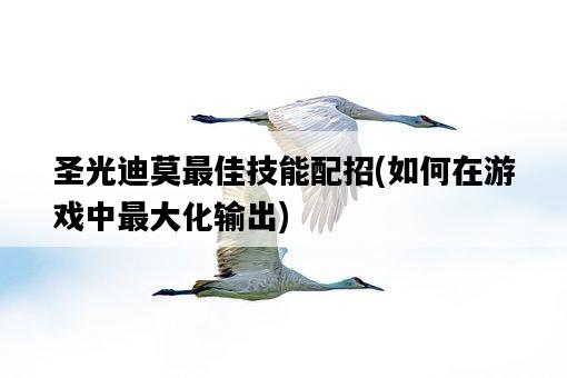 圣光迪莫最佳技能配招，如何在游戲中最大化輸出-圖1