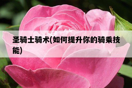 圣騎士騎術，如何提升你的騎乘技能-圖1