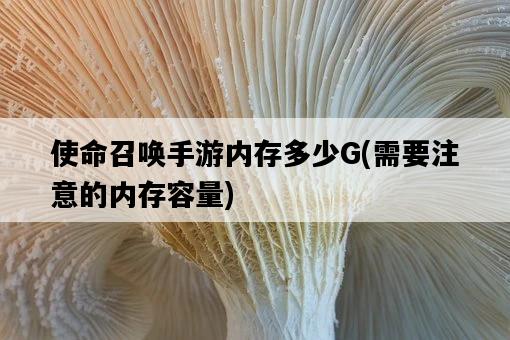 使命召喚手游內存多少G，需要注意的內存容量-圖1