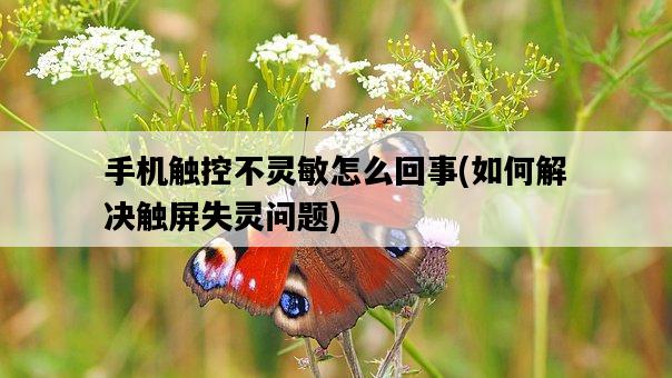 手機觸控不靈敏怎么回事，如何解決觸屏失靈問題-圖1