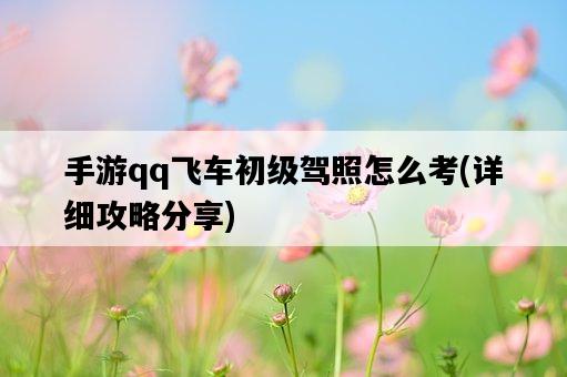 手游qq飛車初級駕照怎么考，詳細攻略分享-圖1