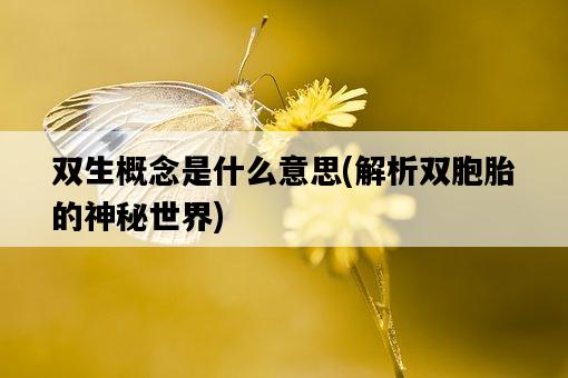 雙生概念是什么意思，解析雙胞胎的神秘世界-圖1