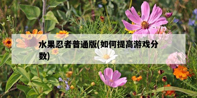 水果忍者普通版，如何提高游戲分數-圖1