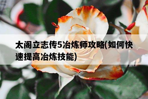 太閣立志傳5冶煉師攻略，如何快速提高冶煉技能-圖1
