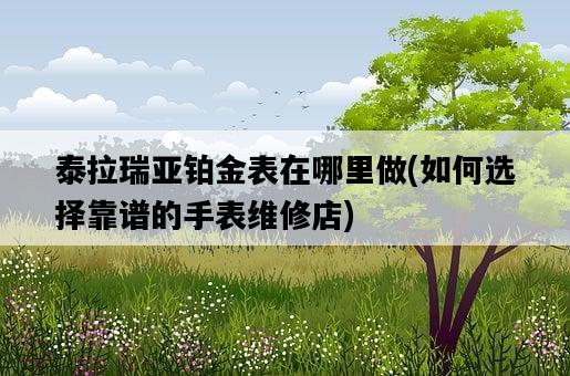 泰拉瑞亞鉑金表在哪里做，如何選擇靠譜的手表維修店-圖1