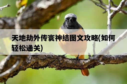 天地劫外傳寰神結圖文攻略，如何輕松通關-圖1
