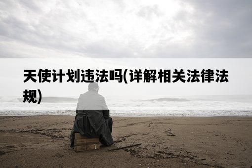 天使計劃違法嗎，詳解相關法律法規-圖1