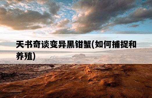 天書奇談變異黑鉗蟹，如何捕捉和養殖-圖1