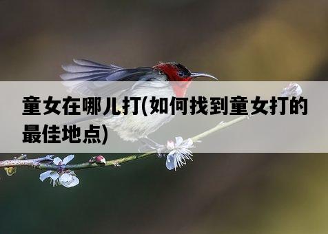童女在哪兒打，如何找到童女打的最佳地點-圖1