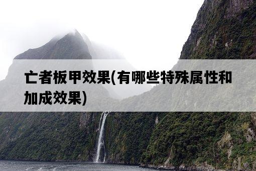 亡者板甲效果，有哪些特殊屬性和加成效果-圖1
