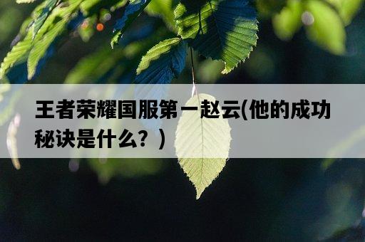 王者榮耀國服第一趙云，他的成功秘訣是什么？-圖1