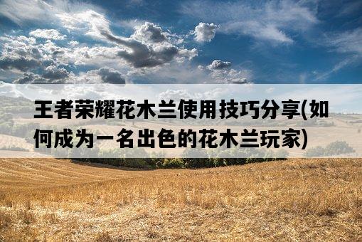王者榮耀花木蘭使用技巧分享，如何成為一名出色的花木蘭玩家-圖1