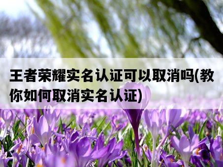 王者榮耀實名認證可以取消嗎，教你如何取消實名認證-圖1
