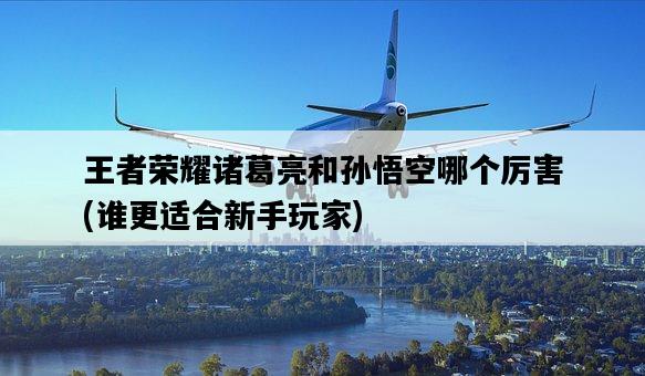 王者榮耀諸葛亮和孫悟空哪個厲害，誰更適合新手玩家-圖1