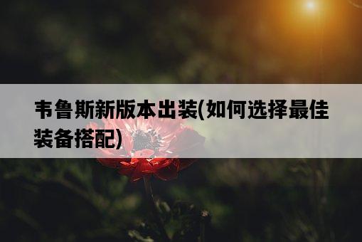 韋魯斯新版本出裝，如何選擇最佳裝備搭配-圖1