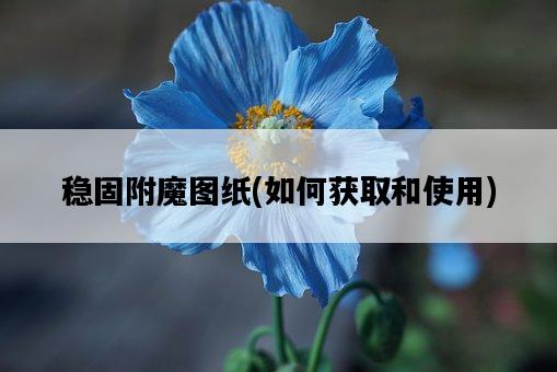 穩固附魔圖紙，如何獲取和使用-圖1