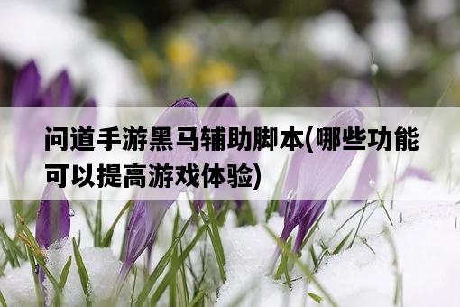 問道手游黑馬輔助腳本，哪些功能可以提高游戲體驗-圖1