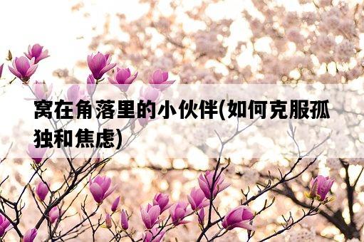 窩在角落里的小伙伴，如何克服孤獨和焦慮-圖1
