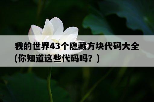 我的世界43個隱藏方塊代碼大全，你知道這些代碼嗎？-圖1