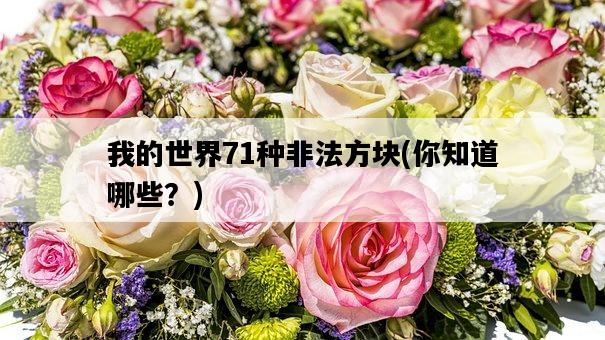 我的世界71種非法方塊，你知道哪些？-圖1
