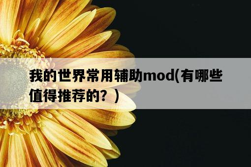 我的世界常用輔助mod，有哪些值得推薦的？-圖1