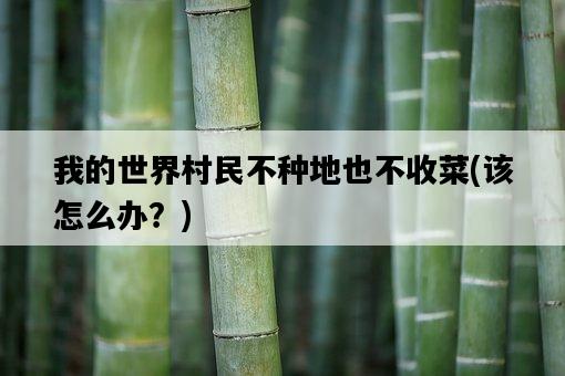 我的世界村民不種地也不收菜，該怎么辦？-圖1