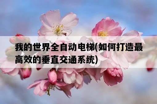 我的世界全自動電梯，如何打造最高效的垂直交通系統-圖1